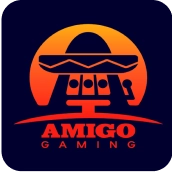 AMIGO_result